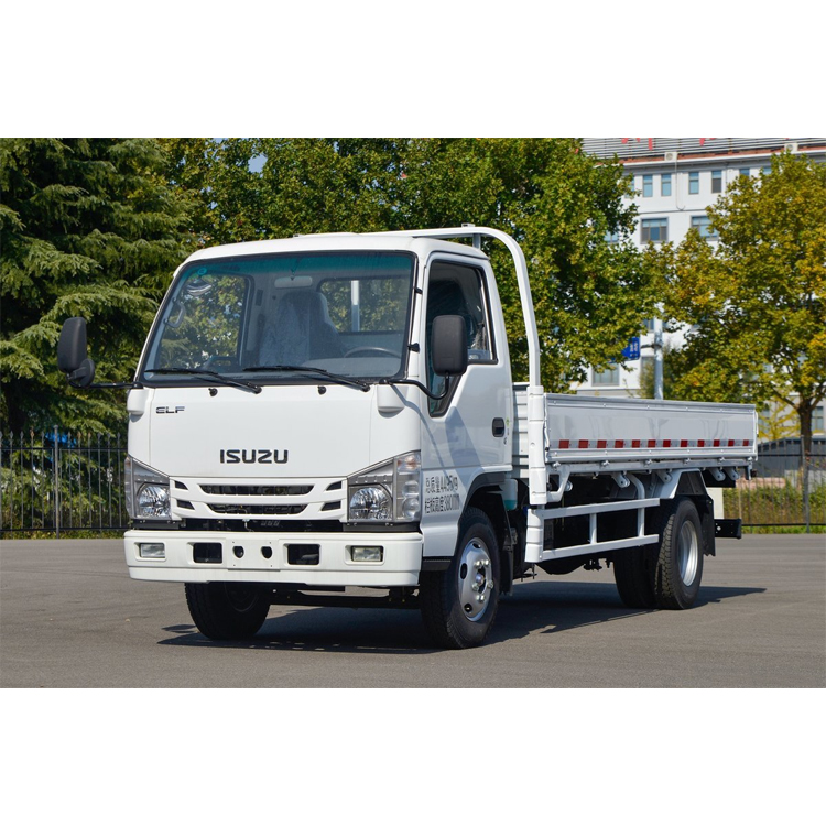 ISUZU 100P 2-4T CARGO TRUCK